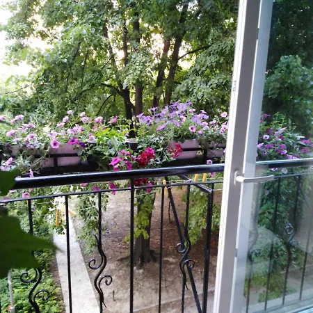 Ana Apartment