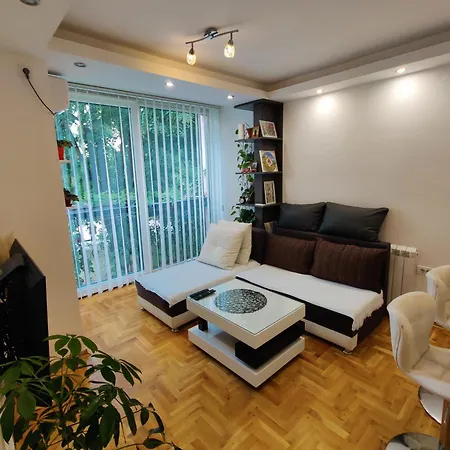 Ana Novi Sad